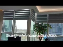 Vídeo da cena de zebra